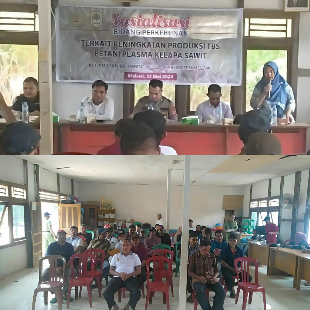 sosialisasi BIDANG PERKEBUNAN TERKAIT PENINGKATAN PRODUKSI TBS PETANI PLASMA KELAPA SAWIT Serta Khantibmas di Junjung&nbsp;Permai.