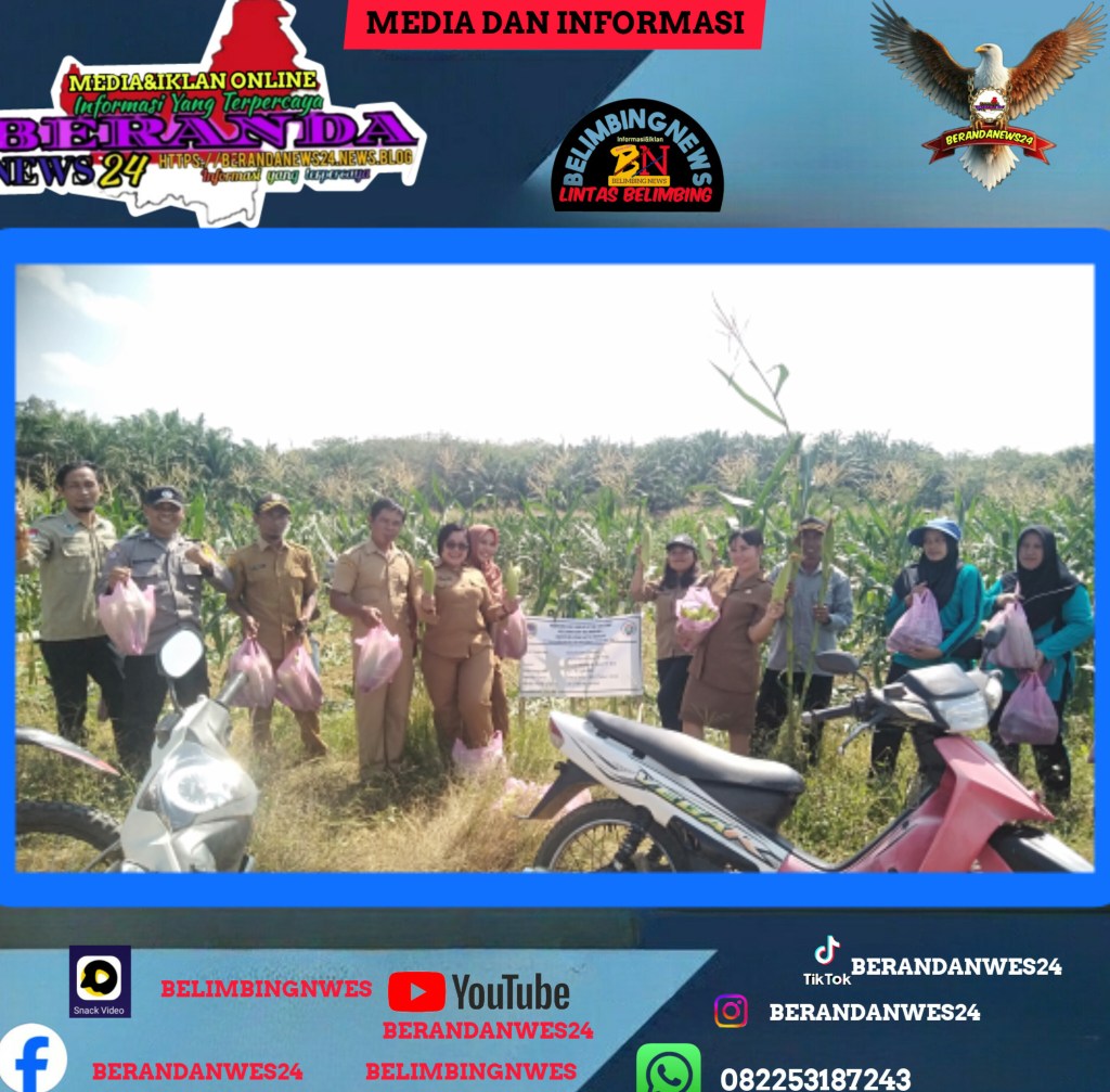 Ketahanan Pangan Batu Nanta&nbsp;Sukses