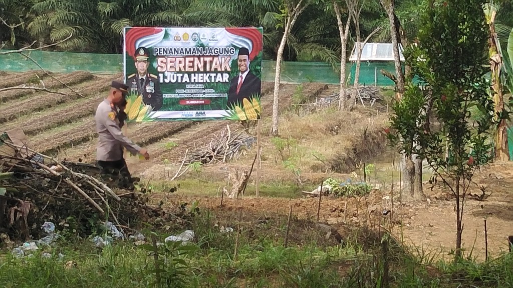Polsek Belimbing: Penanaman Jagung Serentak 1 Juta Hektar dalam Rangka Mendukung Swasembada Pangan&nbsp;2025
