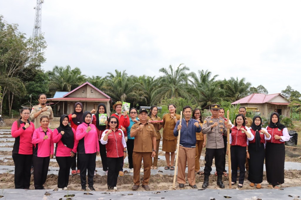 POLSEK BELIMBING; PENANAMAN JAGUNG DALAM RANGKA MENDUKUNG SWASEMBADA PANGAN TAHUN 2025 DI DESA BELONSAT KECAMATAN BELIMBING KABUPATEN&nbsp;MELAWI