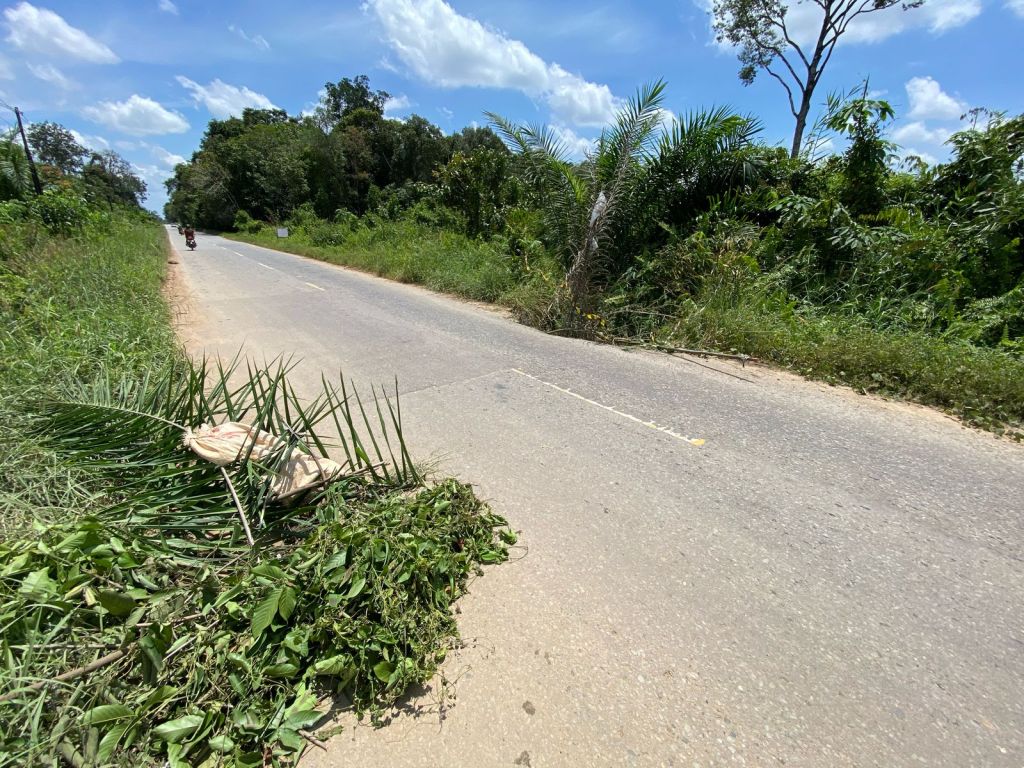 Hancur ruas jalan provinsi Nanga Pinoh-Sintang Desa Batu&nbsp;Nanta.