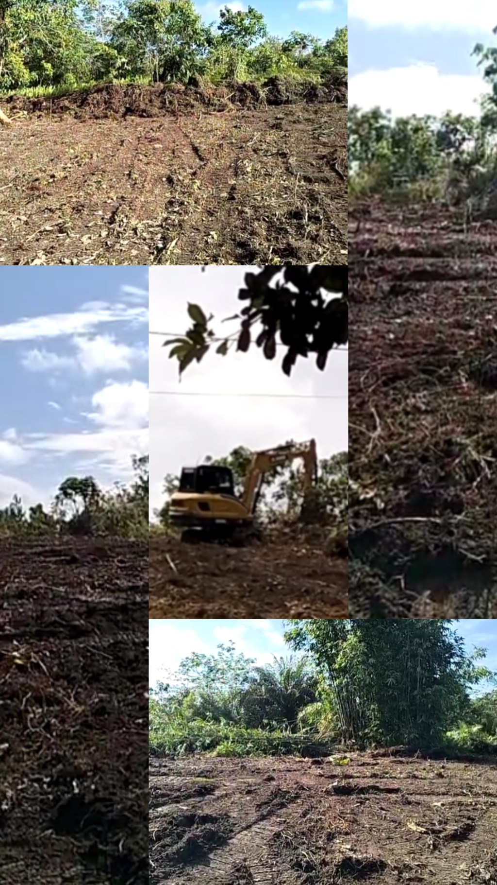 Baru 1 Bulan Jabat Kapolsek Belimbing Sudah Puluhan Hektar Cetak lokasi demplot Tanaman&nbsp;jagung.