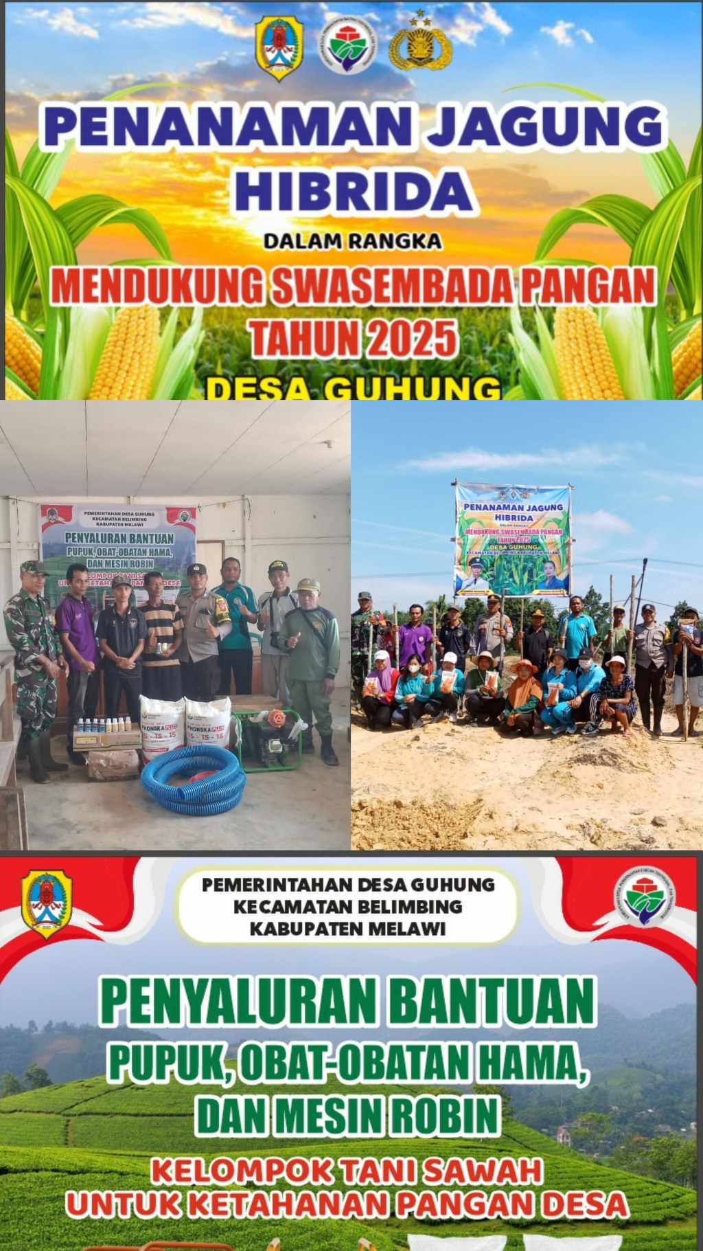 Pembagian bantuan ketahanan pangan tuk kelompok tani& Penamanan Jagung Hibrida di Pemdes guhung,guna meningkatkan mendukung Swasembada&nbsp;Pangan
