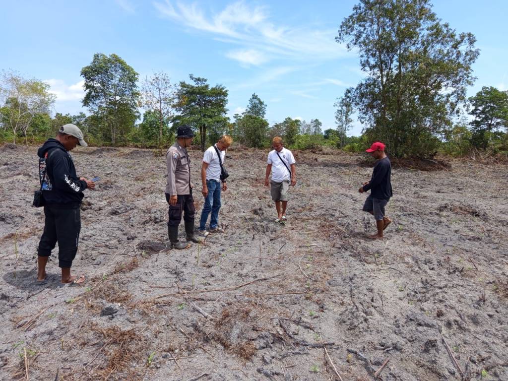 Bersama Pihak Desa Kemuning Biutak, Personel Polsek Matan Hilir Selatan Cek Lahan Kesiapan Tanam Jagung&nbsp;Hibrida