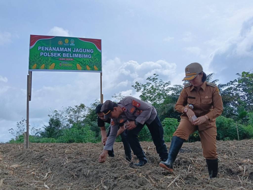 Sinergitas Forkopimcam Belimbing Dukung Program Asta Cita Presiden Prabowo&nbsp;Subianto