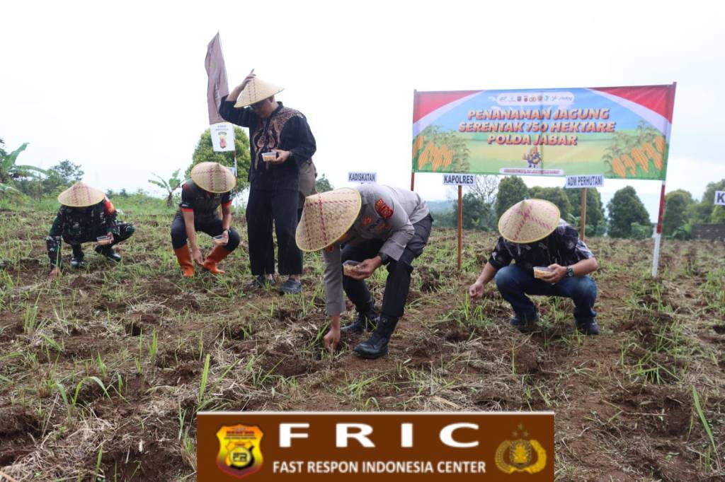 Perkuat Ketahanan Pangan, Kapolres Kuningan Pimpin Penanaman Jagung Serentak Kuartal I di Desa Gunung&nbsp;Keling
